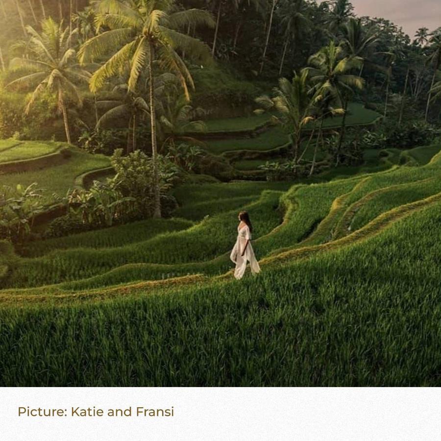 Song Broek Bali Hotel Payangan Exterior foto